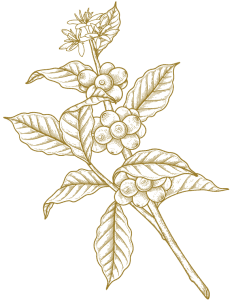 Brown floral decoration clipart