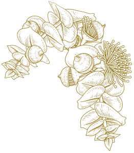 Brown floral decoration clipart