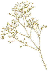 Brown floral decoration clipart